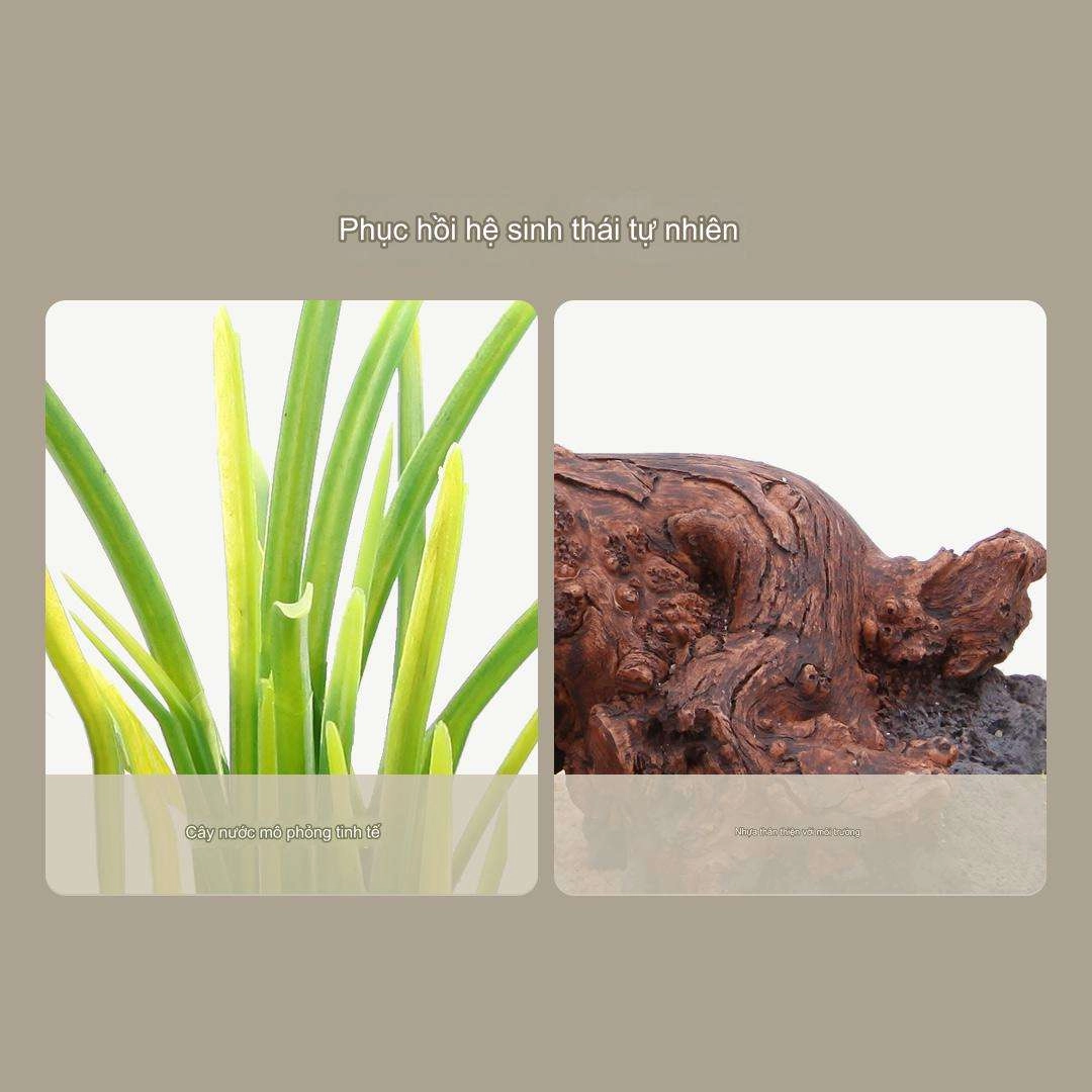 Cảnh quan bằng gỗ chìm phong cách Nam Mỹ cho bể cá Xiaomi 20L	